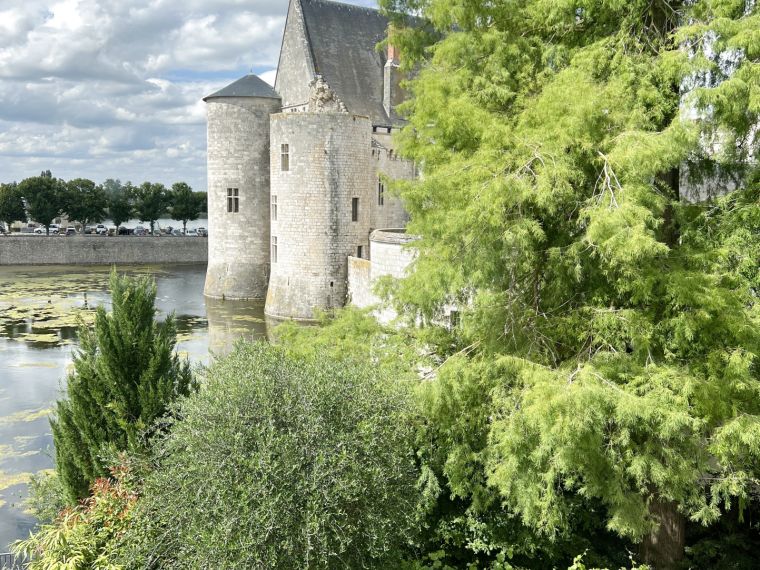 VUE SUR LE CHATEAU DE SULLY SUR LOIRE. GRANDE MAISON DE VILL