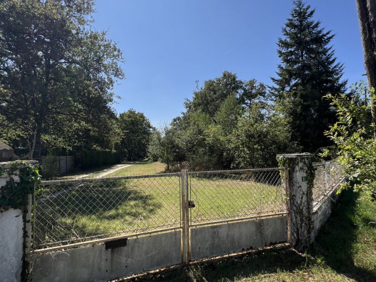 Terrain constructible boisé au coeur de la Forêt d’Orléans.