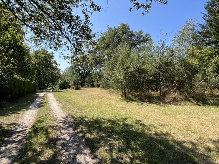 Terrain constructible boisé au coeur de la Forêt d’Orléans.