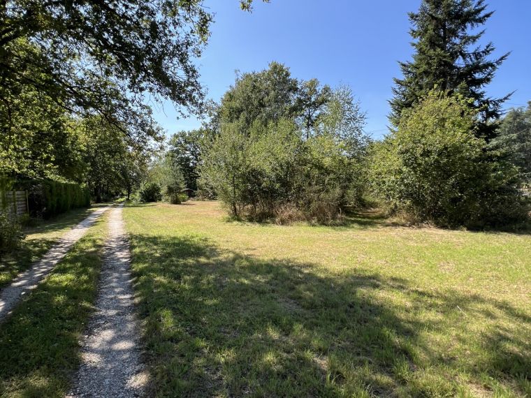 Terrain constructible boisé au coeur de la Forêt d’Orléans.